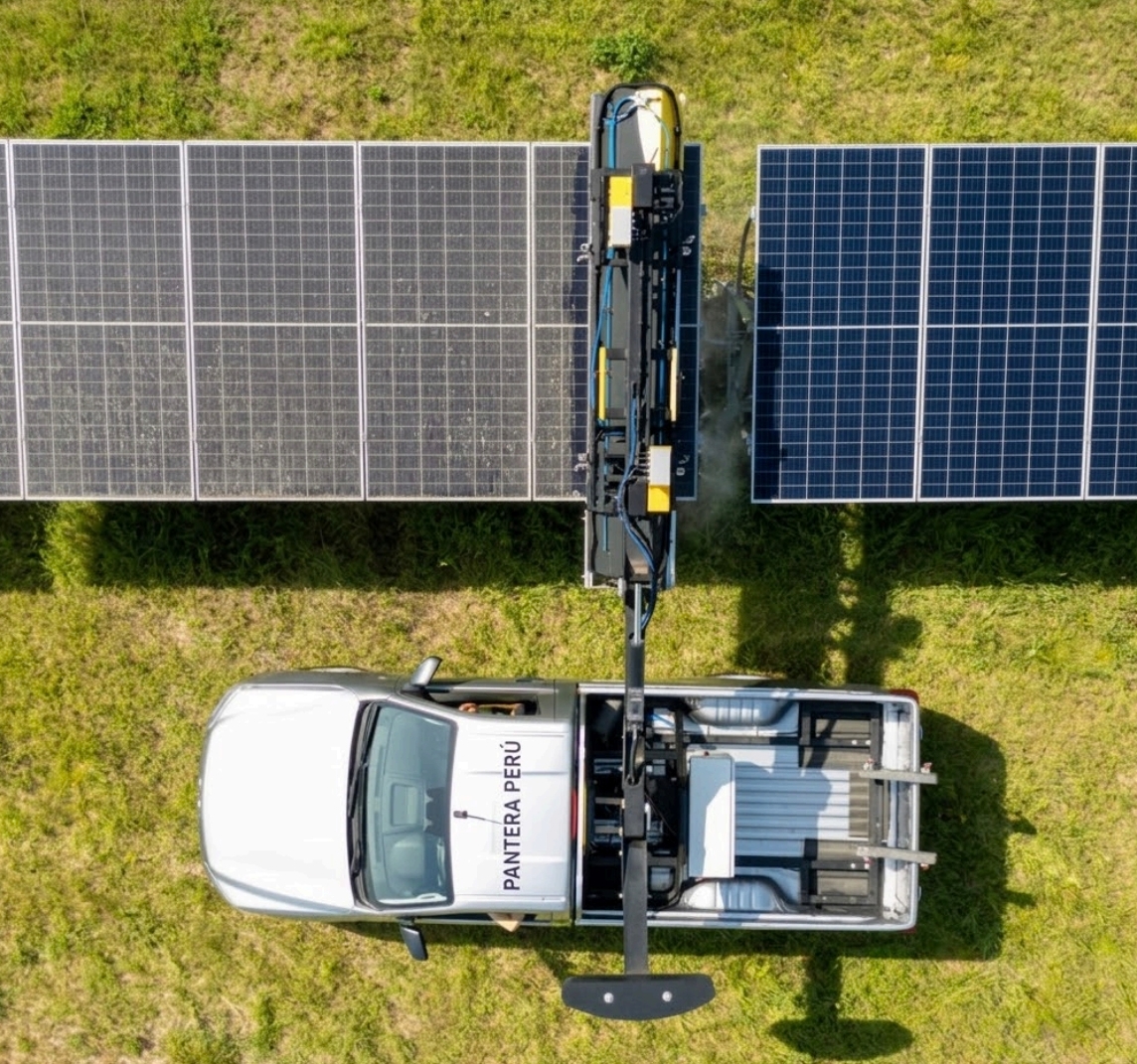 Pantera Perú